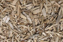 biomass boilers Copt Heath